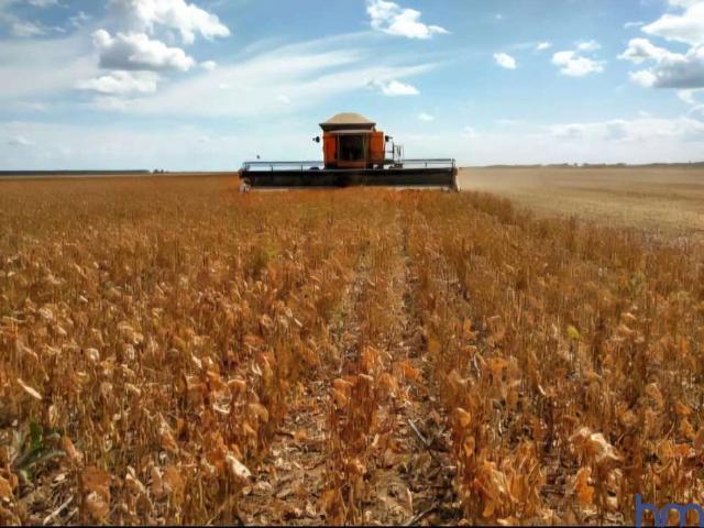 Fazenda venda em Regeneração, Região Nordeste