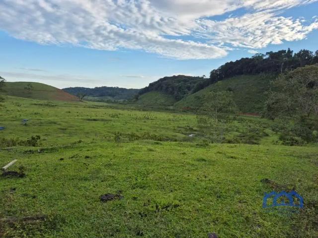 Fazenda venda em Região Imediata de Registro, Registro