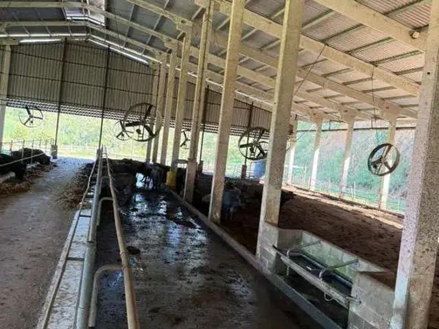 Fazenda venda em Região Imediata de Registro, Registro