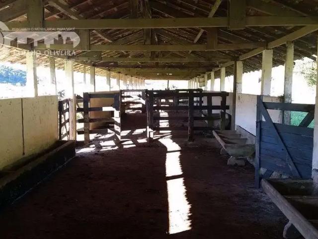 Fazenda venda em Região Imediata de Registro, Registro