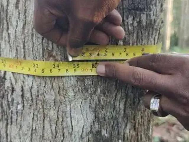 Fazenda venda em Região Imediata de Registro, Registro