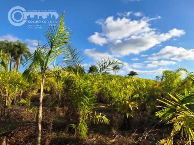Fazenda venda em Região Imediata de Registro, Registro
