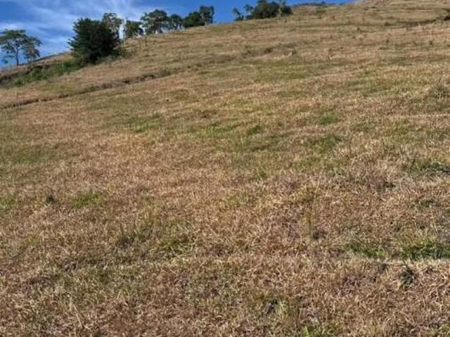 Sítio e chácara venda em Reserva, Região Geográfica Intermediária de Ponta Grossa