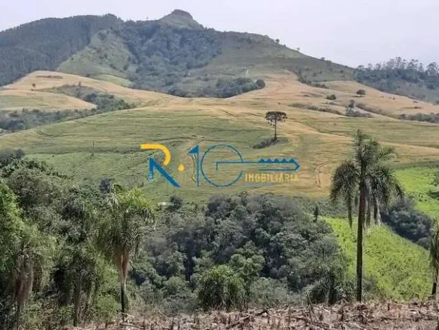 Fazenda venda em Região Geográfica Imediata de Pitanga, Pitanga