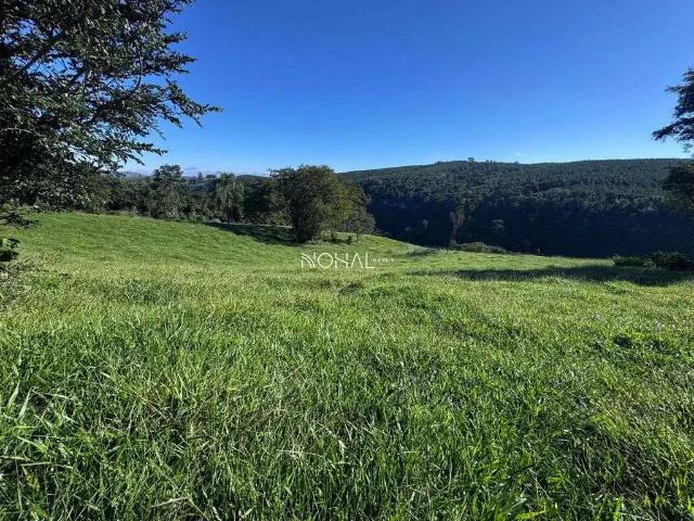 Fazenda venda em Região Geográfica Imediata de Telêmaco Borba, Reserva