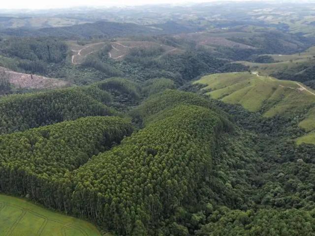 Fazenda venda em Região Geográfica Imediata de Telêmaco Borba, Reserva