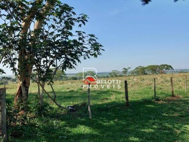 Sítio e chácara venda em Região Imediata de São José do Rio Preto, Região Metropolitana de São José do Rio Preto