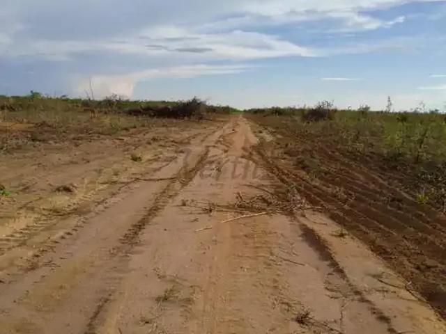 Fazenda venda em Região Geográfica Imediata de Barreiras, Riachão das Neves