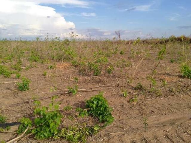 Fazenda venda em Região Geográfica Imediata de Barreiras, Riachão das Neves