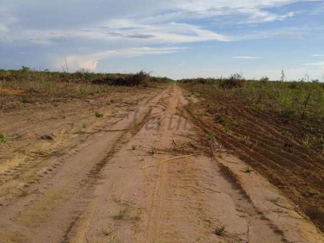 Fazenda venda em Região Geográfica Imediata de Barreiras, Riachão das Neves