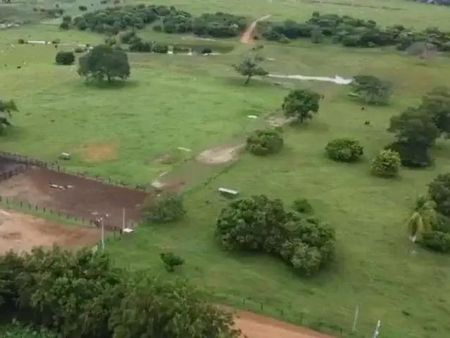 Fazenda venda em Região Geográfica Imediata de Barreiras, Riachão das Neves