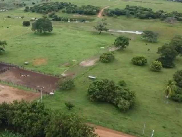 Fazenda venda em Região Geográfica Imediata de Barreiras, Riachão das Neves