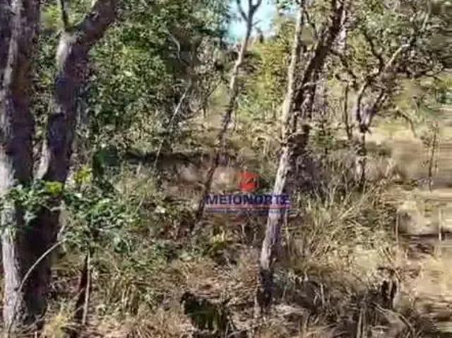 Fazenda venda em Riachão, Região Nordeste