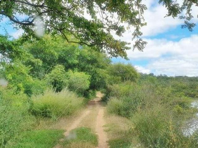 Sítio e chácara venda em Região Geográfica Imediata de Janaúba, Riacho dos Machados