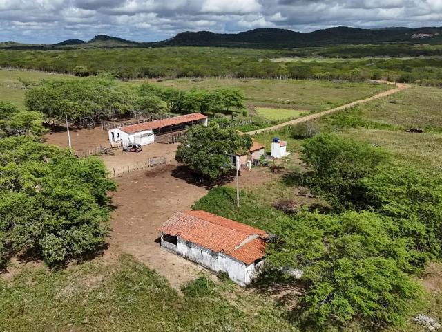 Fazenda venda em Riachuelo, Região Nordeste