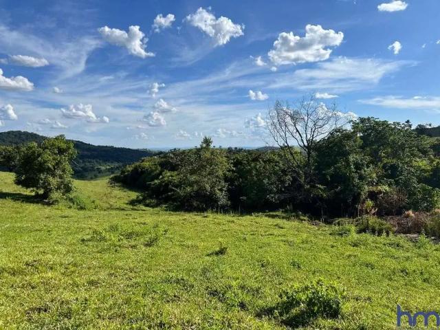 Fazenda venda em Região Geográfica Imediata de Ceres - Rialma - Goianésia, Rialma