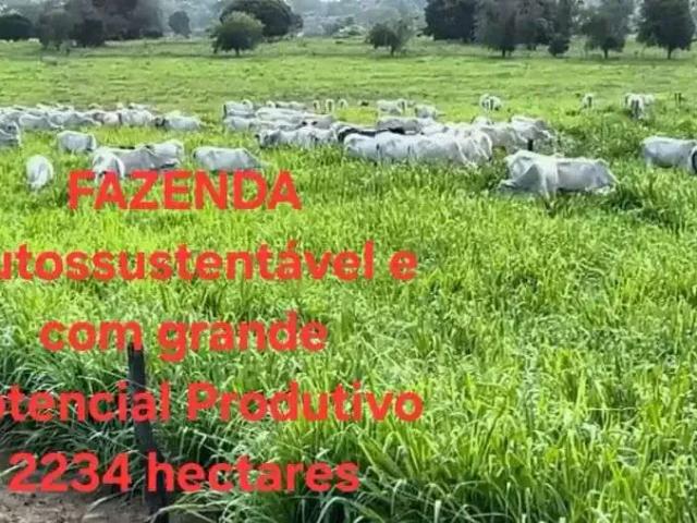 Fazenda venda em Ribamar Fiquene, Região Nordeste