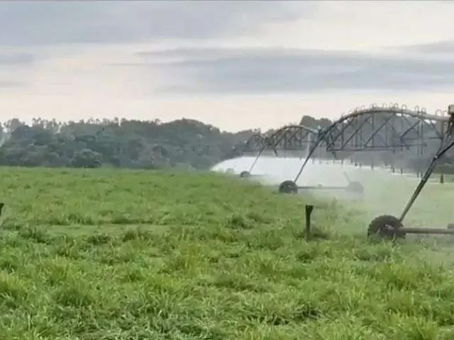 Fazenda venda em Ribamar Fiquene, Região Nordeste