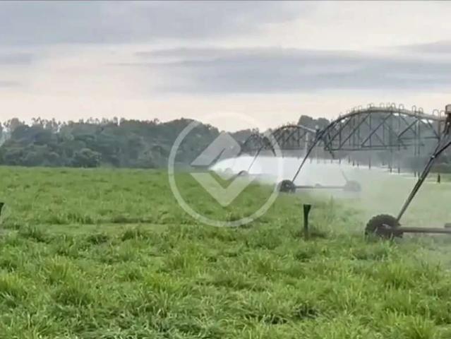 Fazenda venda em Ribamar Fiquene, Região Geográfica Intermediária de Imperatriz