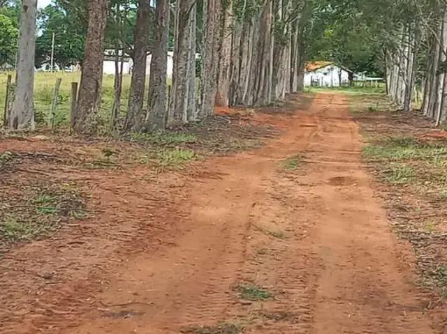 Fazenda venda em Região Geográfica Imediata de Campo Grande, Ribas do Rio Pardo