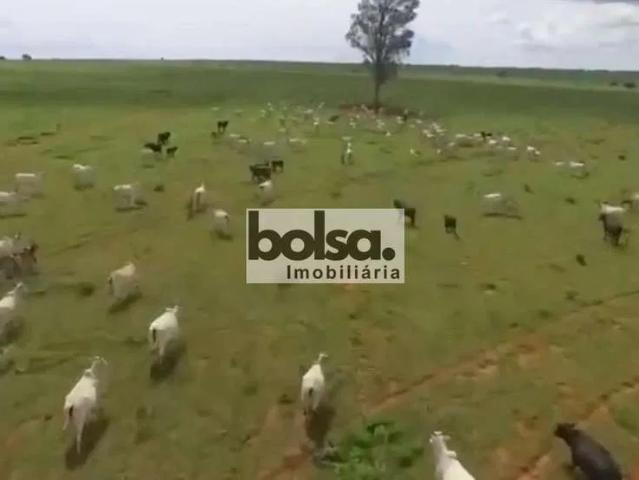 Fazenda venda em Ribas do Rio Pardo, Região Geográfica Intermediária de Campo Grande