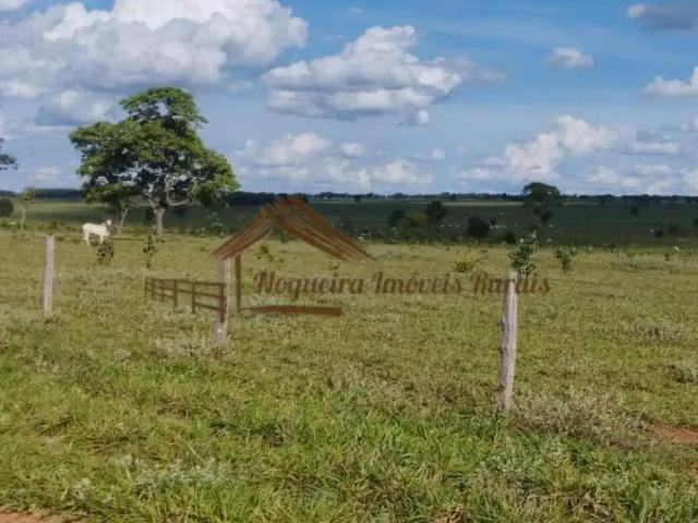 Fazenda venda em Região Geográfica Imediata de Campo Grande, Ribas do Rio Pardo