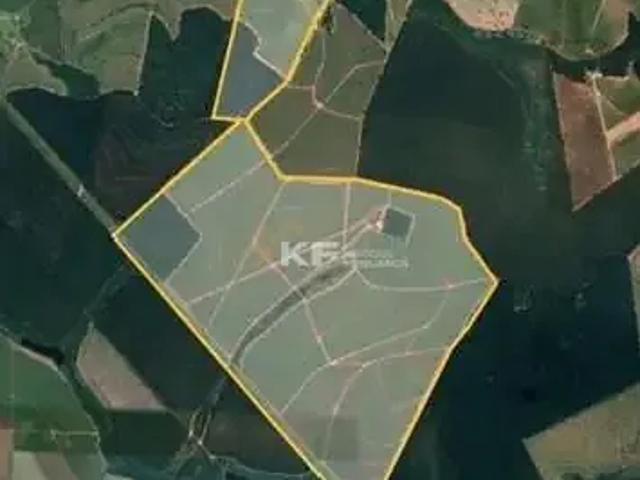 Fazenda venda em Região Imediata de São Carlos, Ribeirão Bonito