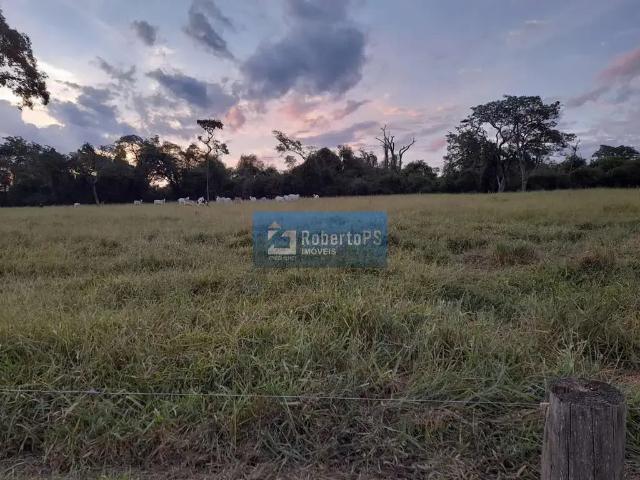 Fazenda venda em Região Imediata de São Carlos, Ribeirão Bonito