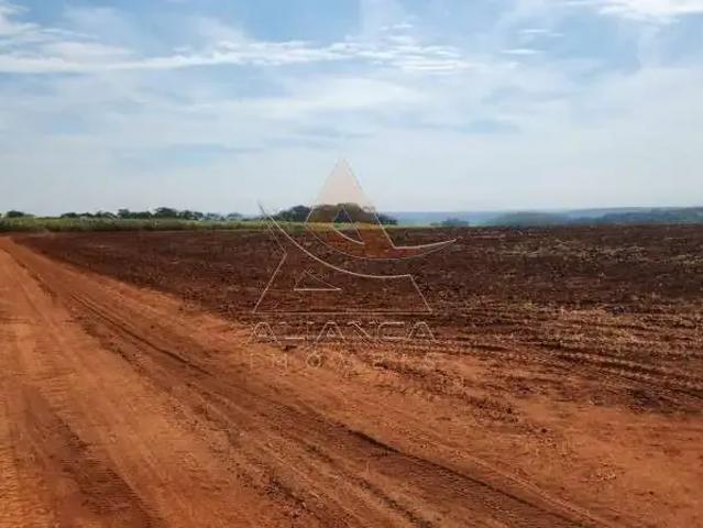 Fazenda venda em Região Imediata de São Carlos, Ribeirão Bonito