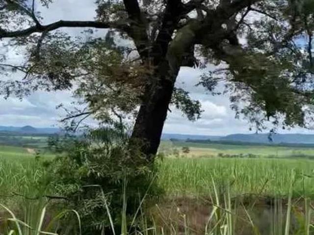 Fazenda venda em Ribeirão Bonito, Região Geográfica Intermediária de Araraquara