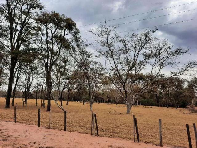 Fazenda venda em Região Imediata de São Carlos, Ribeirão Bonito