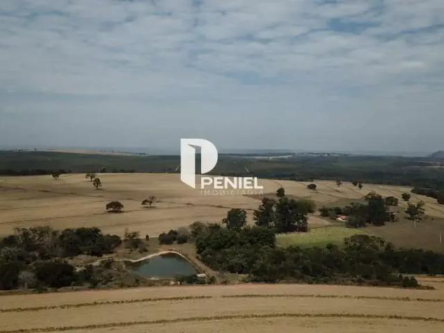 Fazenda venda em Região Imediata de São Carlos, Ribeirão Bonito