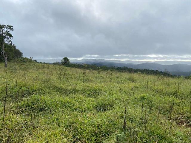 Fazenda venda em Região Imediata de Itapeva, Ribeirão Branco