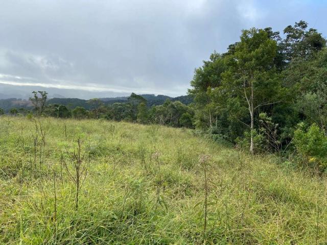 Fazenda venda em Região Imediata de Itapeva, Ribeirão Branco