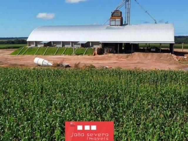 Sítio e chácara venda em Região Geográfica Imediata de Água Boa, Ribeirão Cascalheira