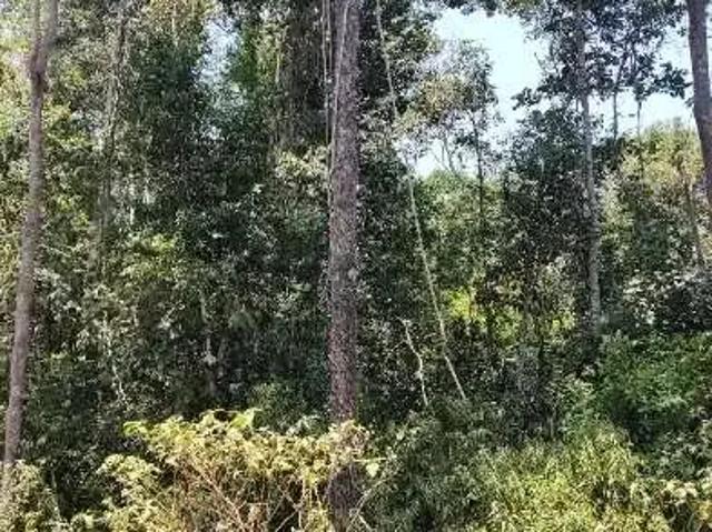 Fazenda venda em Região Geográfica Imediata de Água Boa, Ribeirão Cascalheira
