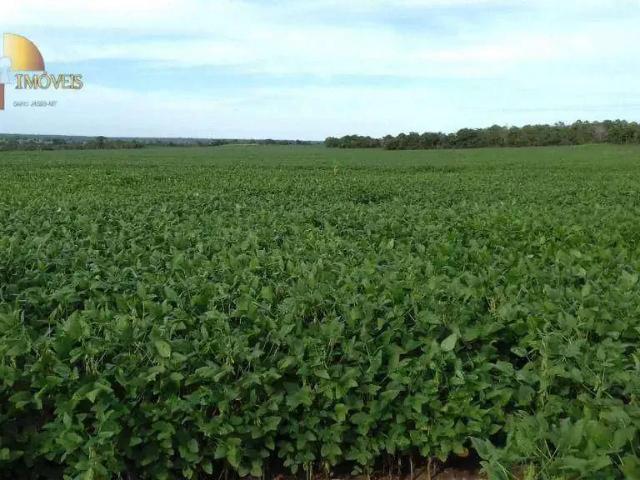 Fazenda venda em Região Geográfica Imediata de Água Boa, Ribeirão Cascalheira