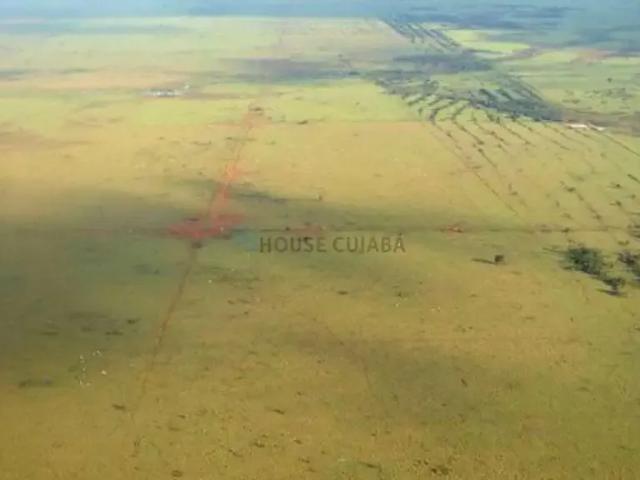 Fazenda venda em Região Geográfica Imediata de Água Boa, Ribeirão Cascalheira