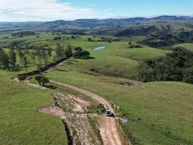 Fazenda venda em Região Geográfica Imediata de Santo Antônio da Platina, Ribeirão Claro