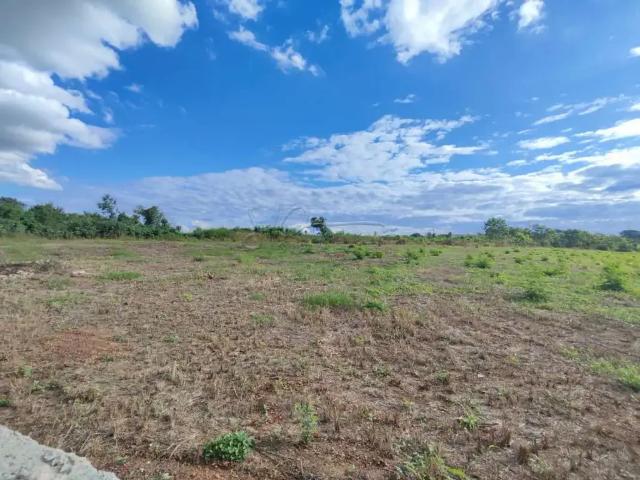 Fazenda venda em Região Imediata de Ribeirão Preto, Região Metropolitana de Ribeirão Preto