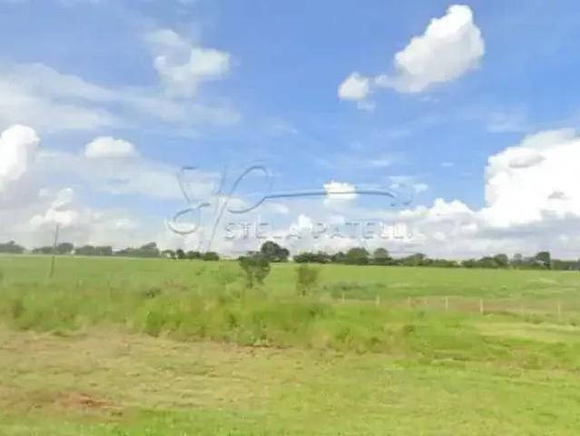 Fazenda venda em Região Imediata de Ribeirão Preto, Região Metropolitana de Ribeirão Preto