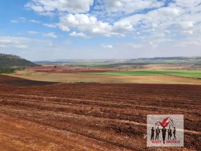 Fazenda venda em Região Imediata de Ribeirão Preto, Região Metropolitana de Ribeirão Preto