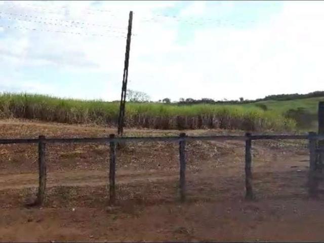Fazenda venda em Região Imediata de Ribeirão Preto, Região Metropolitana de Ribeirão Preto
