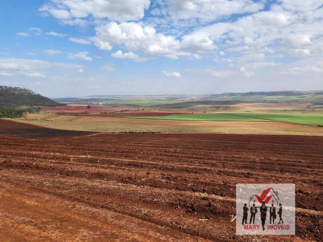 Fazenda venda em Ribeirão Preto