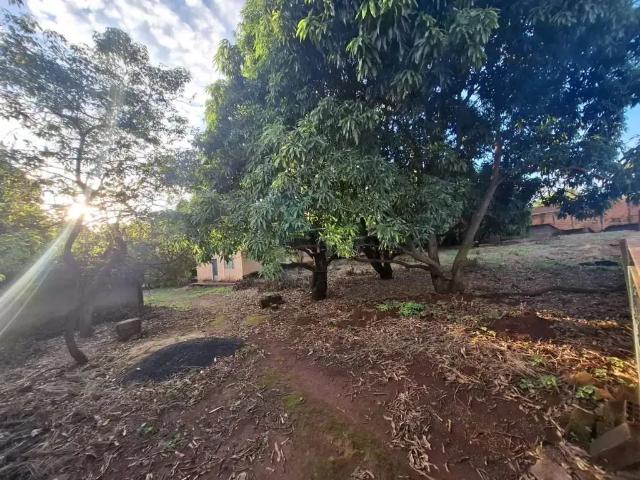 Fazenda venda em Região Imediata de Ribeirão Preto, Região Metropolitana de Ribeirão Preto