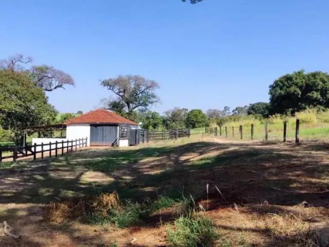 Fazenda venda em Região Imediata de Ribeirão Preto, Região Metropolitana de Ribeirão Preto