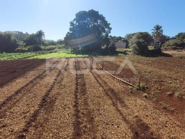 Fazenda venda em Ribeirão Preto, Região Geográfica Intermediária de Ribeirão Preto