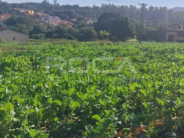 Fazenda venda em Ribeirão Preto, Região Geográfica Intermediária de Ribeirão Preto