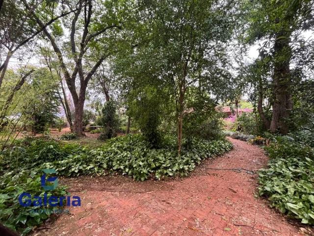 Fazenda venda em Ribeirão Preto