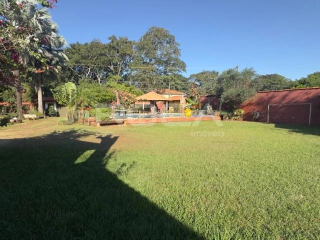 Fazenda venda em Ribeirão Preto, Região Geográfica Intermediária de Ribeirão Preto